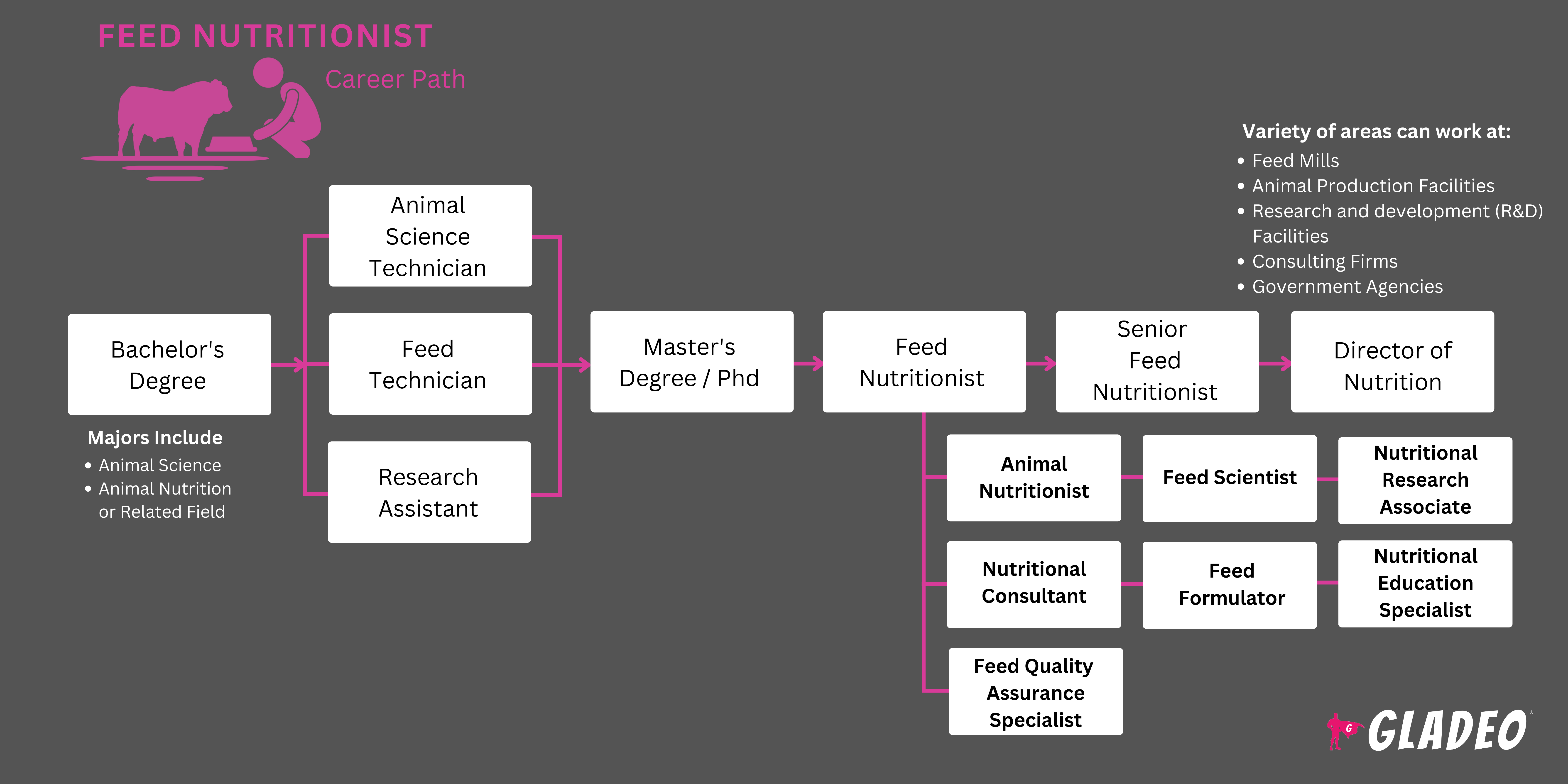 Feed Nutritionist Roadmap